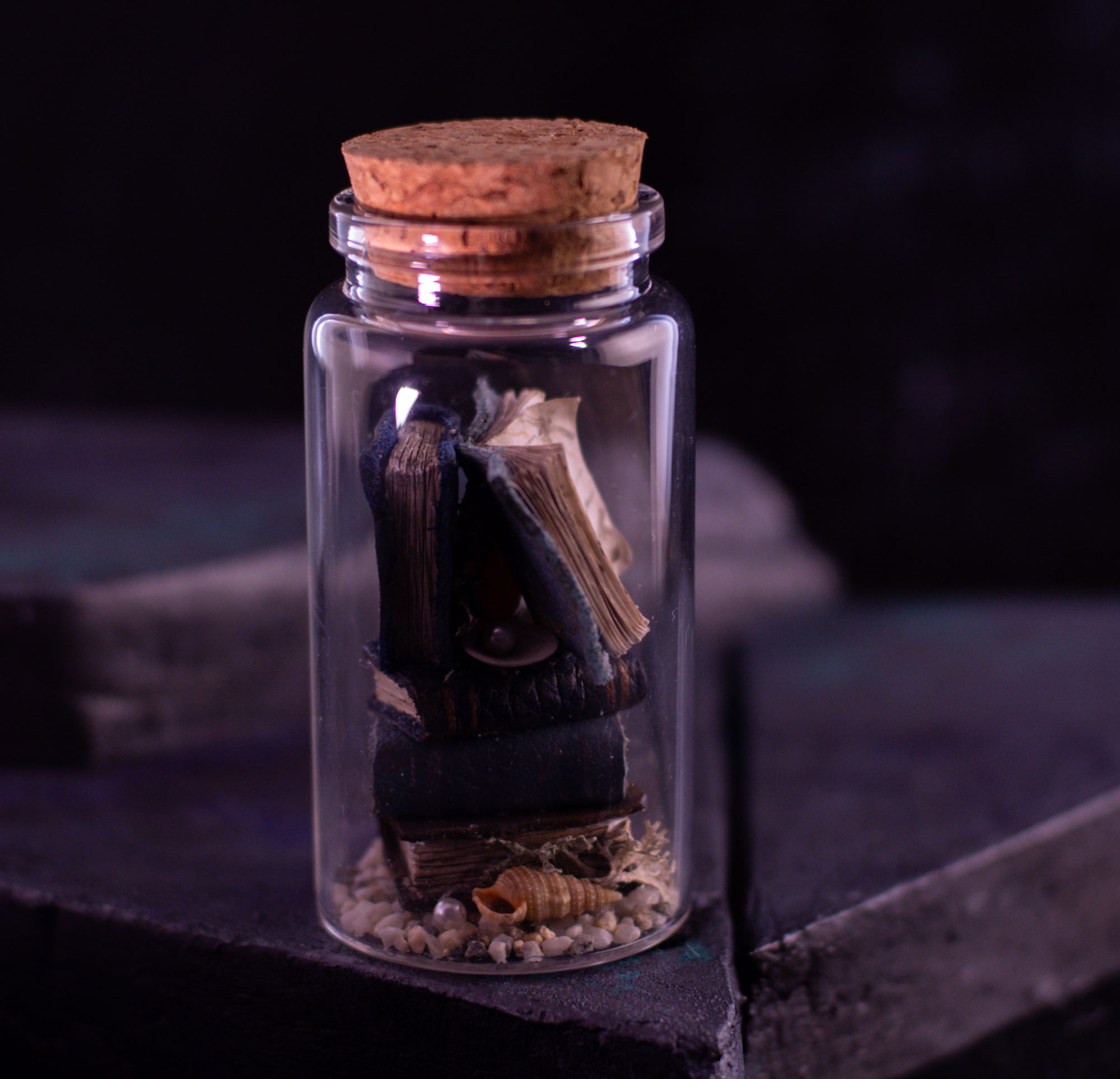 Sea Tomes X02, photo 5