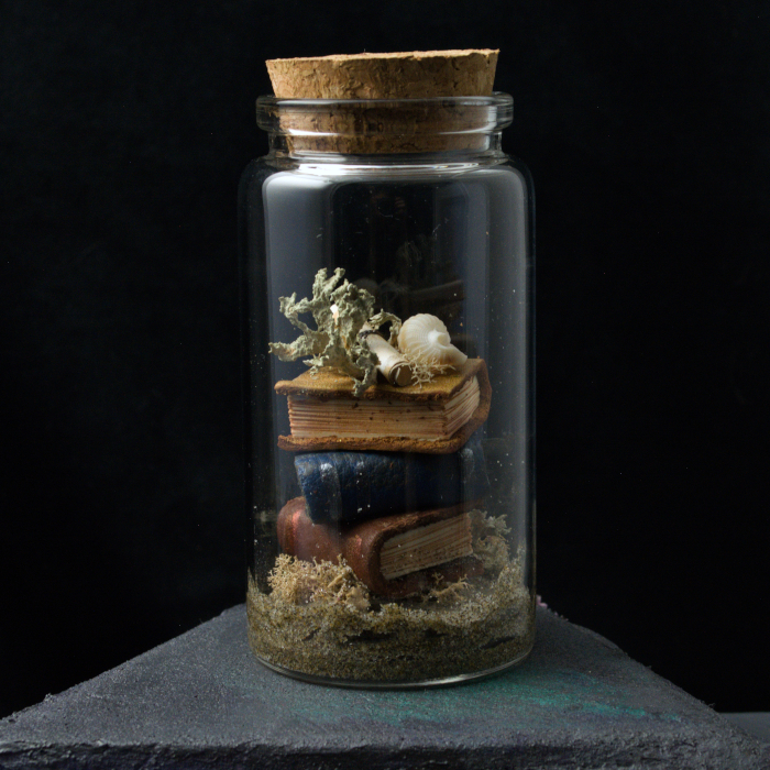 Sea Tomes X02, photo 4